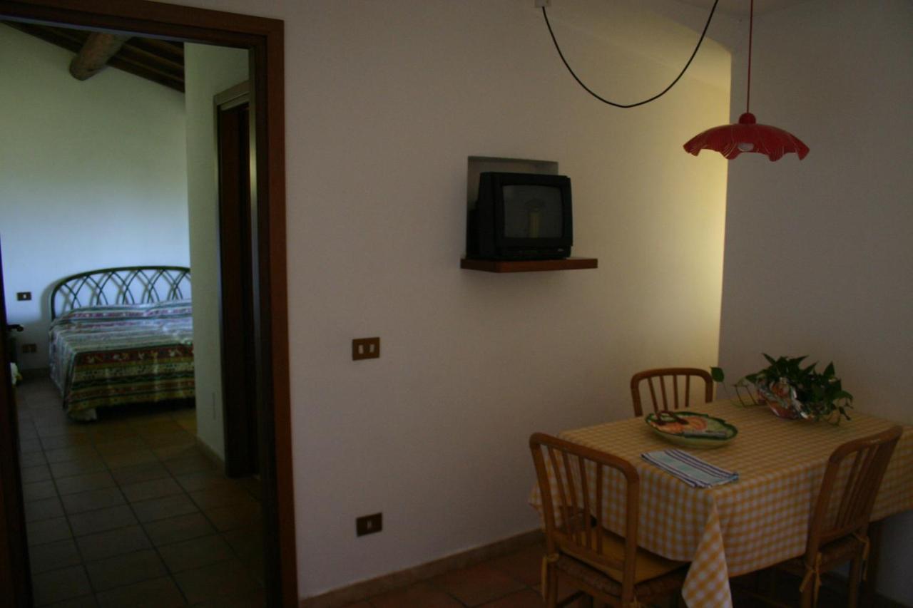 Agriturismo Oliveto Di Geltrude Contessa Amelia Exterior foto
